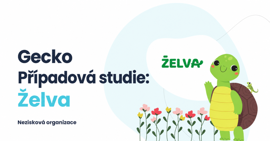 Gecko_ študija primera želve-8